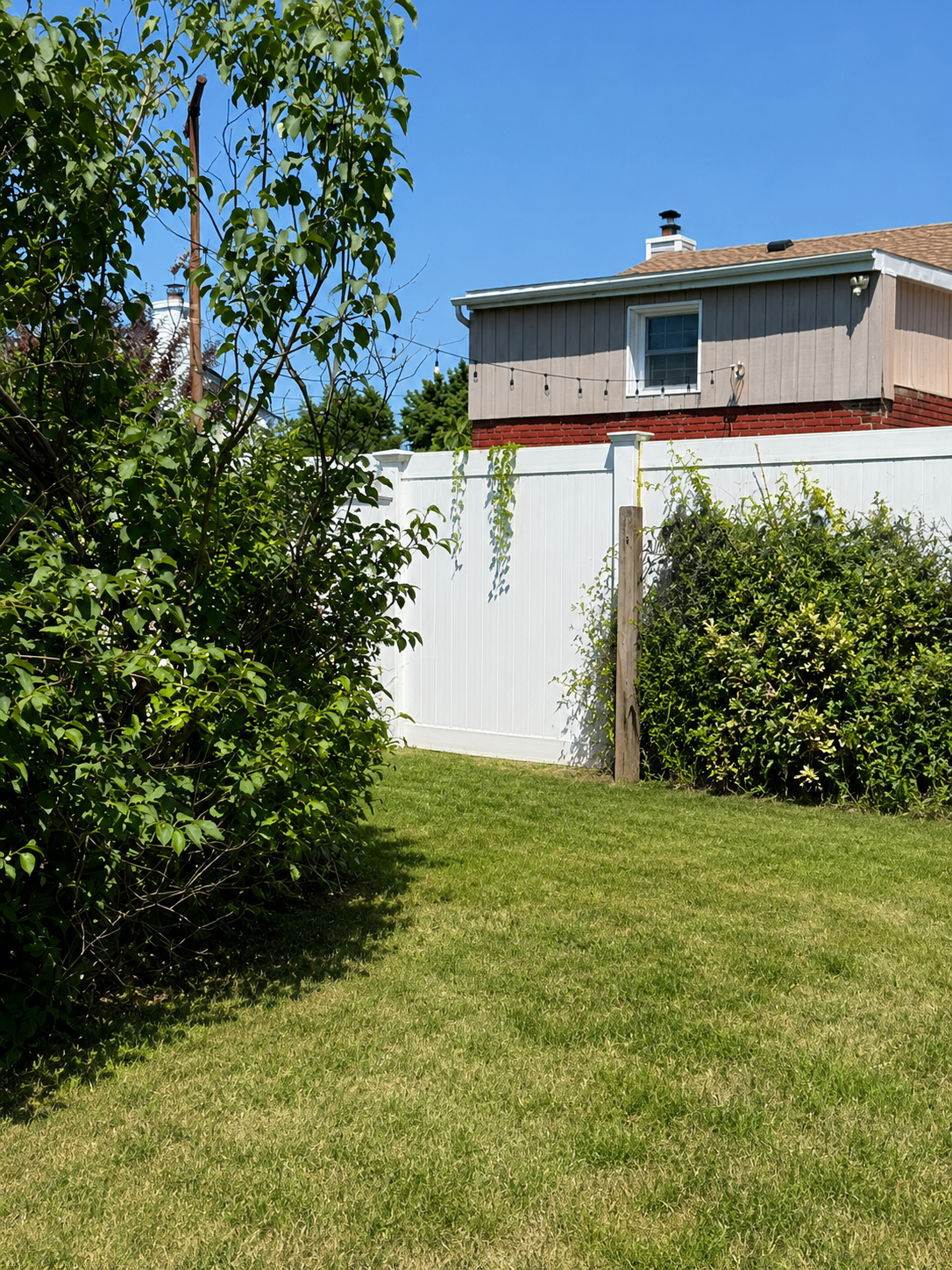 Basement Mattress Removal — after